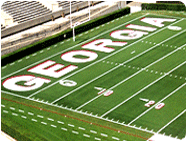 college football field line logo marking paints