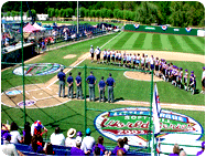 Baseball Field Tournament Logos painted using bright field paints.
