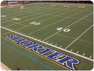 temporary paint remover synthetic turf fields
