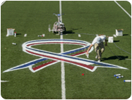 athletic field lines letters logos mascots on synthetic sports fields.