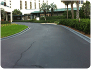 Easy to Apply, Fast Dry, Eco Fiendly, Extremely Durable Asphalt Sealer and Curb Paint.