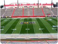 Bowl Game Football Field shades of green grass paint