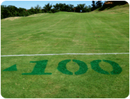 yardage markings on golf course