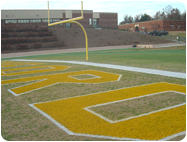custom cut football field stencils paint color