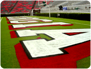 extra bright football field End zone paint