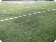 removal of Logo from Synthetic Turf Football Field.