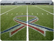 removable synthetic turf field marking paint