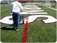 removable line marking paint synthetic turf