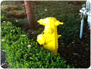 Bright Yellow Fire Hydrant Paint DTM coatings