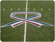 removable logos lines on football field