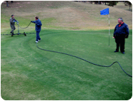 Green Turf Dye for golf course