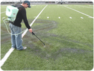remove paint synthetic turf athletic field