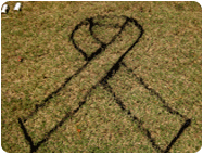Cancer Awareness Ribbon stencil outline