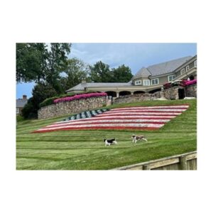 Aerosol cans for painting stencils