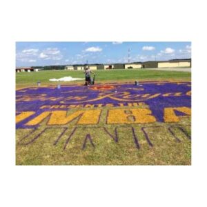 Corporate Custom Logo Painting