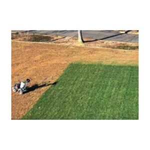 Green Grass Colorant Dye Paint