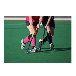 Field Hockey Field Layout Diagram