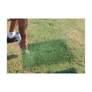 green color aerosol can grass paint to color brown formant dead grass fresh looking green buy directly from manufacturer.